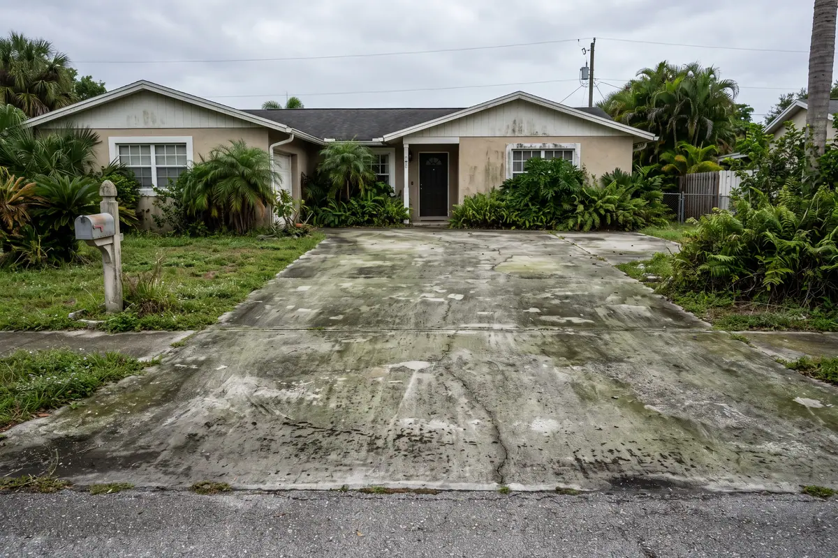 Before: a driveway covered in green algae and dark staining across the whole slab.